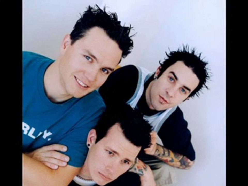 Blink-182 - Adams Song (Acoustic)