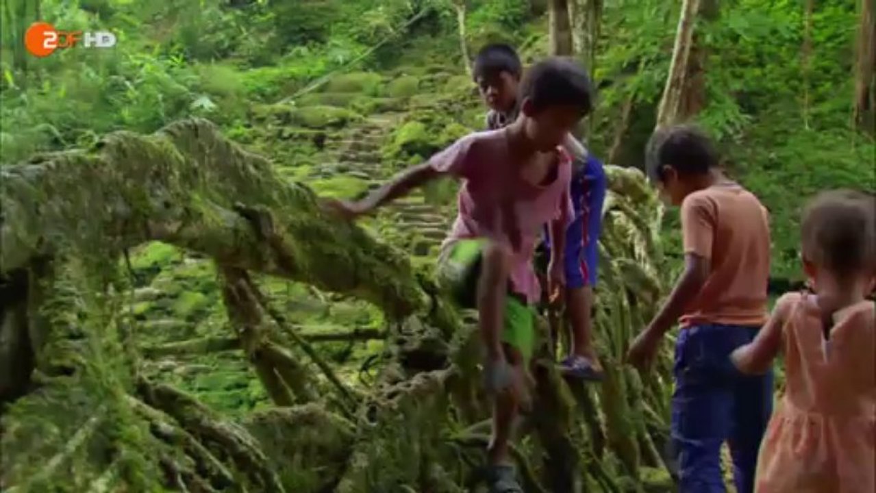 Terra X: 'Planet der Menschen: Leben im Dschungel' - ZDF