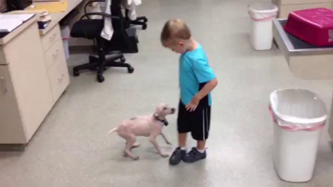 Cole and Bart