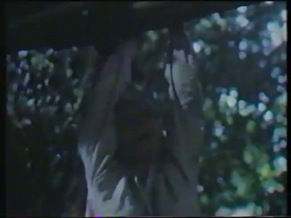 Seagull Island (1981) Into the unknown