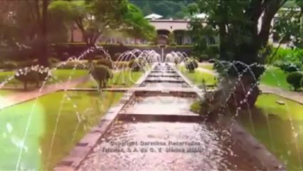 Victoria y arriaga capitulo 19