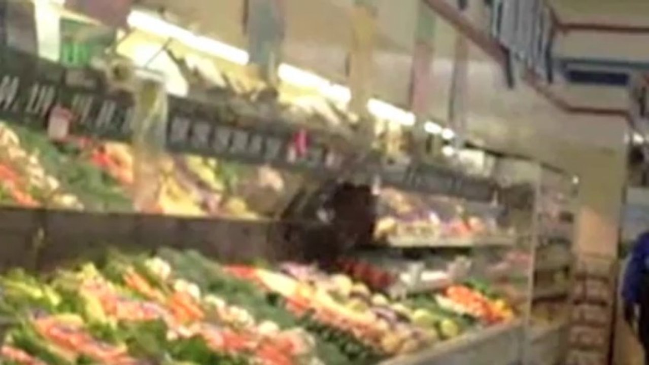 Un ours s'invite dans les rayons d'un magasin !