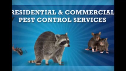 Halifax pest control - Bedford pest control
