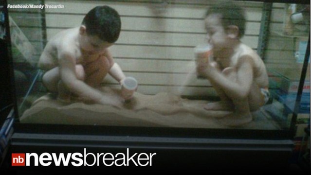 HAUNTING: Photos of Boys Killed By Snake Cleaning Cage Emerge as Police Consider Charges