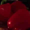 Recette Express #4>Poivrons rouges à la Catalane