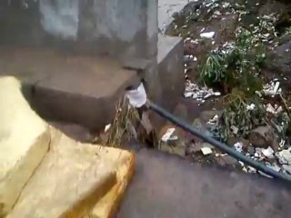 Hayaytabad flood captured by Engr. saeed aftab