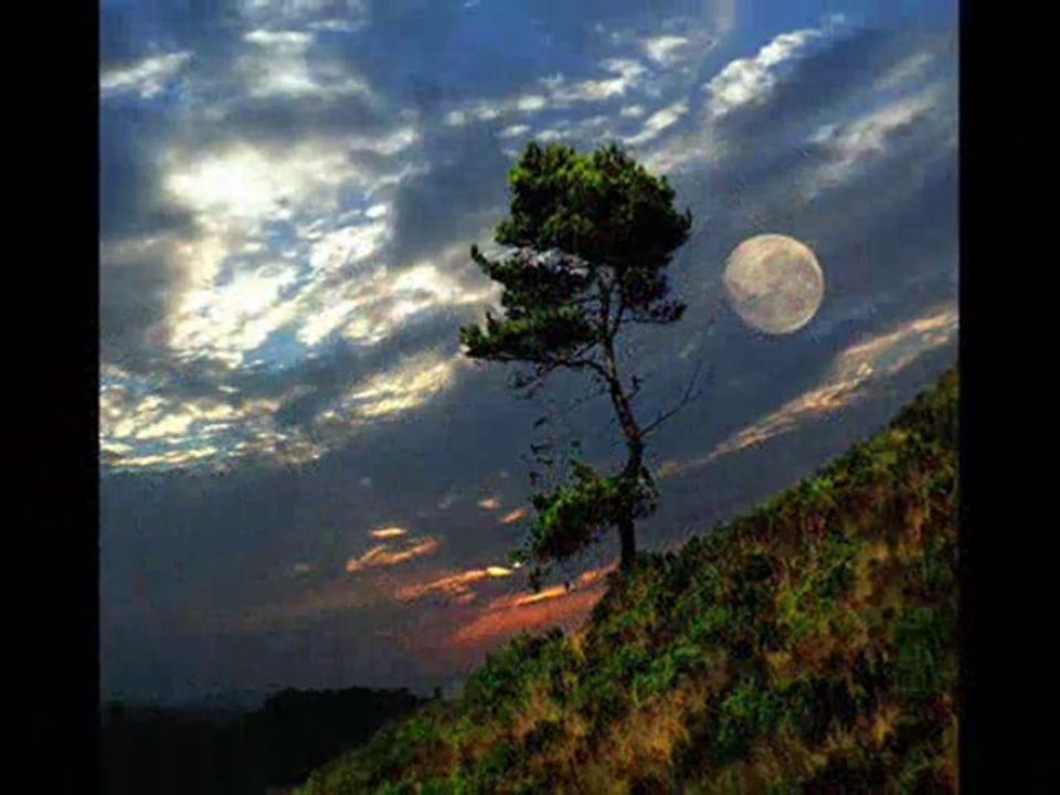 Petőfi Sándor - Fa leszek (Janza Kata & Forgács Péter)