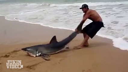 Top 5 Shark Encounters | #JukinTop5