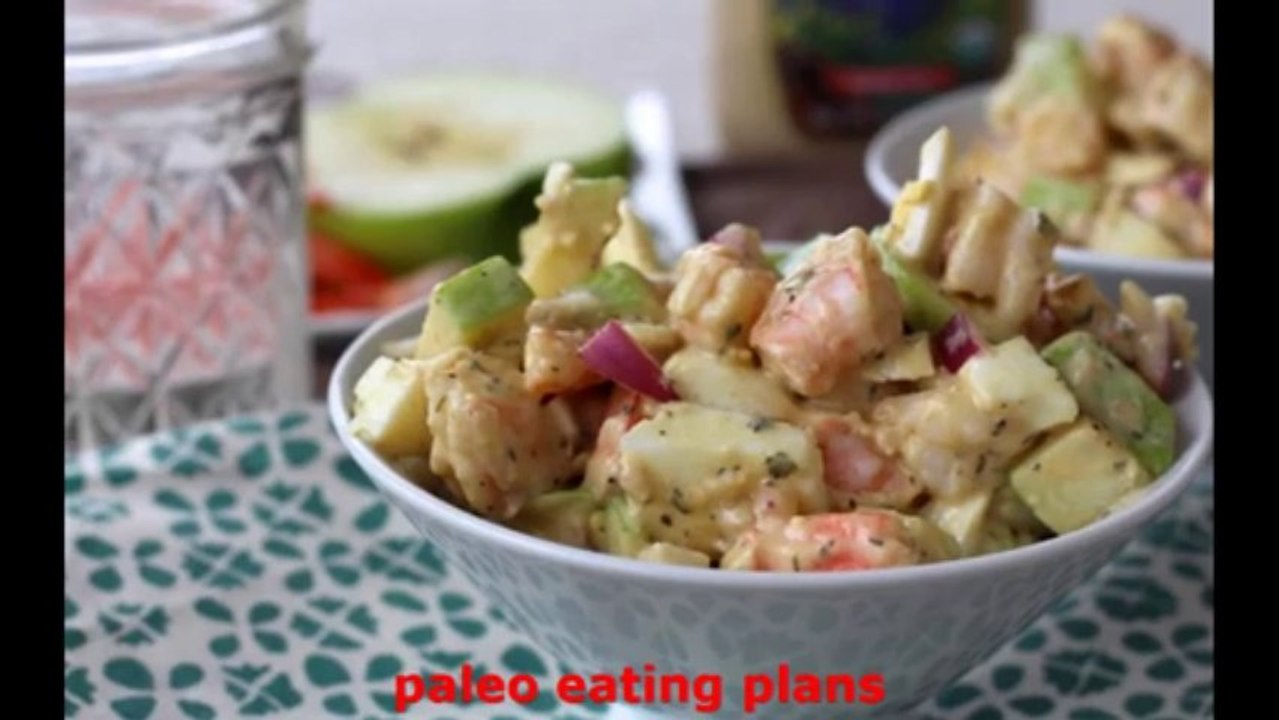 The Best of paleo diet cookbook