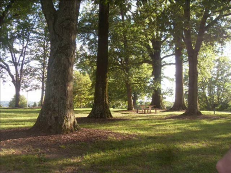 Pique-Nique à Alms Park