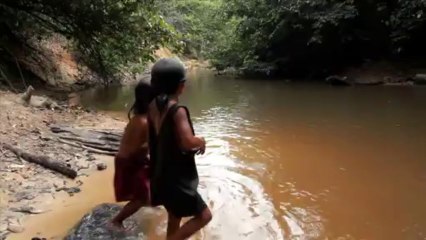 Colin Firth en campagne pour sauver les indiens Awa.