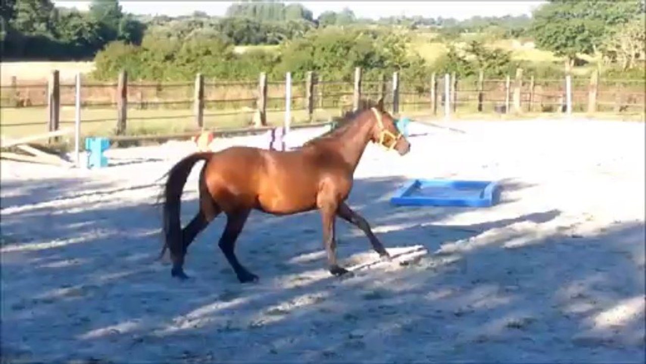 Arabesque de la Barre - août 2013