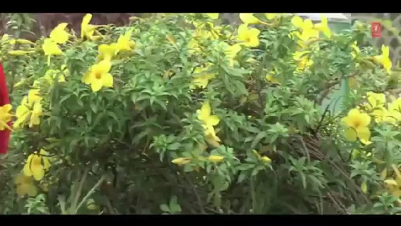 Asa Nahi Vhayan Maale Full Video Song - O Tuni Maay (Ahirani Movie 2013)