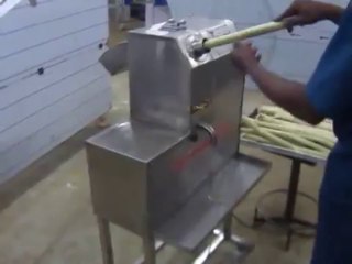 Sugar Cane Juicer with stand