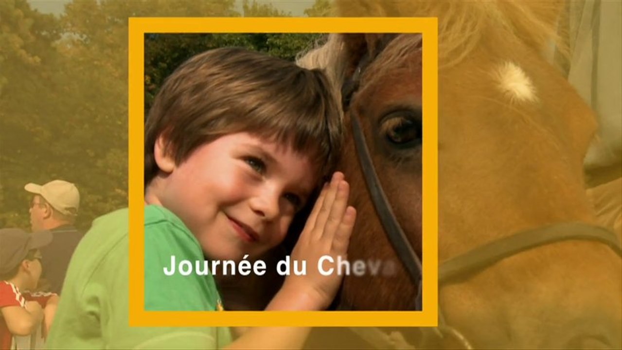 Journée du cheval - 22 sept 2013