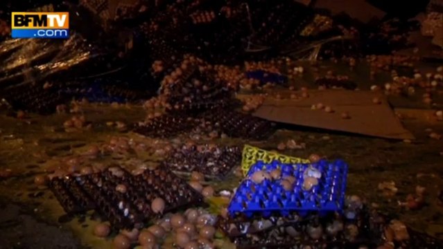 100.000 œufs détruits par les producteurs en signe de protestation - 08/08