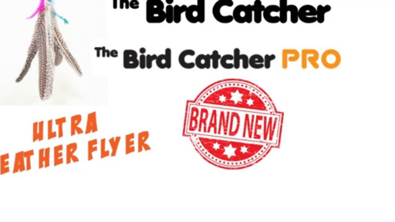 High Quality Da Bird Replacements - Cats Go Crazy For Them!