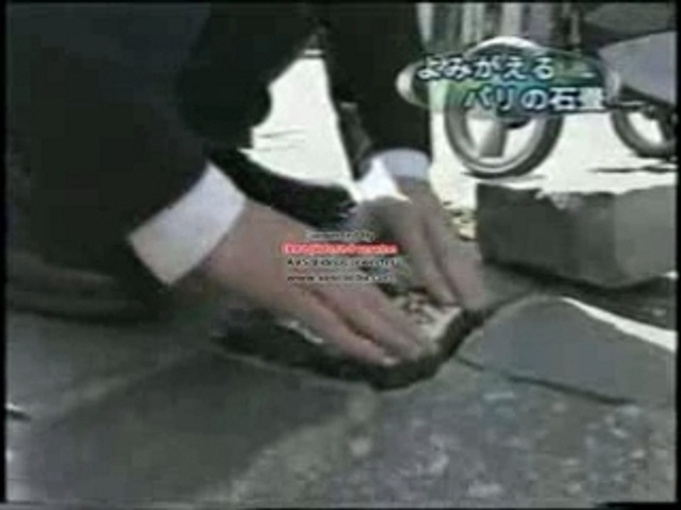 Earth Cube Rock Art / Pavés de Paris 