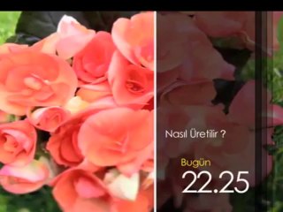 Nasıl Üretilir, 24 Nisan Çarşamba 22.25'te TRT Okul'da