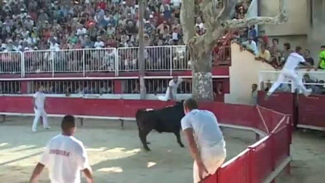 CC Marguerittes - Finale de la Margueritte d Or 2013 - 30082013