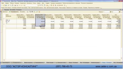 Видеоурок - Учет маркетинговых исследований в планировании (АСТЭР)