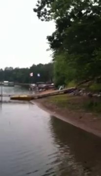 Bald eagle swoops to catch prey