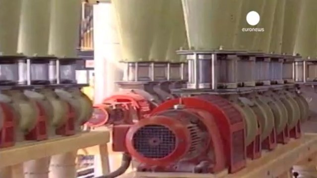 Raccolti abbondanti: crollano i prezzi di mais, grano e soia