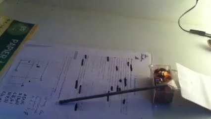 P´tit trick en finger skate