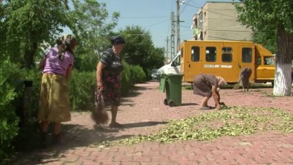 Des Monet et un Picasso ont-ils fini brûlés en Roumanie ?