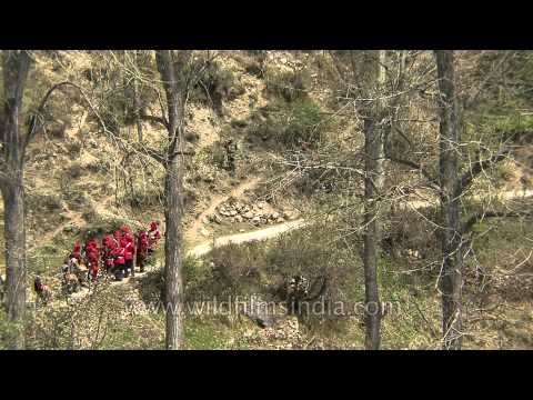 Led by the Garhwal Rifles: From Gangotri temple to Mukhba