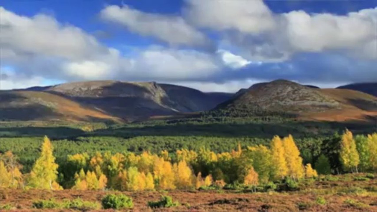 Les Highlands, des terres protégées qui vous attendent