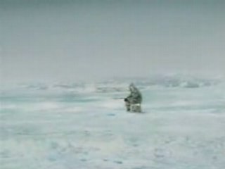 Pecheur bouffer par un orque drole