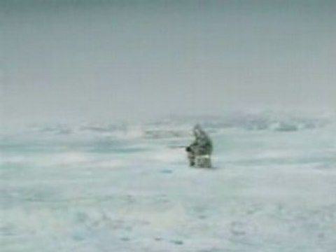 Pecheur bouffer par un orque drole