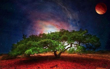 Oriental Rhythm " NIGHT IN JUNGLE " ( MUSIC BY ZULQARNAIN )