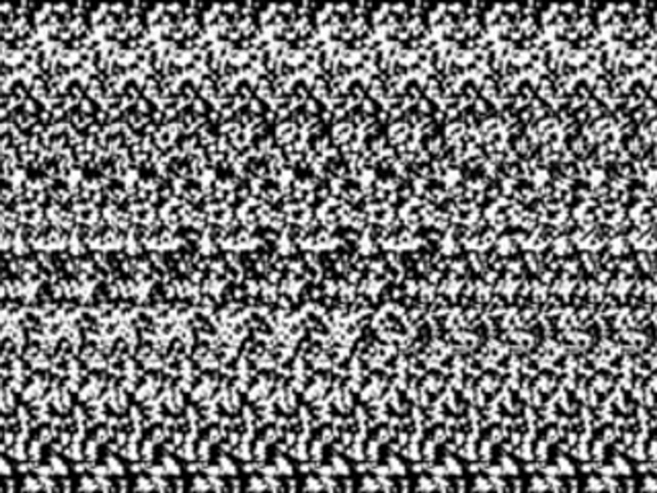 Cow cross-eyed stereogram animation