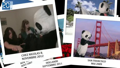 Pourquoi faut-il sauver les pandas?