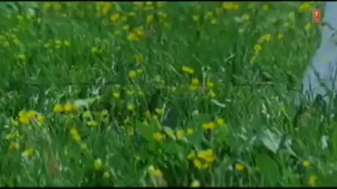 Ek Baat Main Apne Dil Full Song _ Diljale _ Ajay Devgn, Sonali Bendre