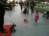Une fillette joue avec un chien... Trop mignon... mais le chien est une marionnette!