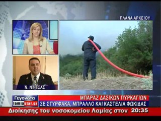 Εμπρησμοί οι φωτιές στην Φθιώτιδα