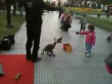 Little girl plays with puppet dog - She thinks the puppet is alive and throws the ball to play!