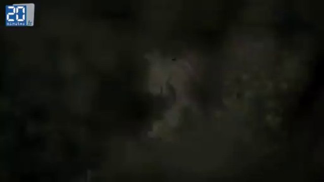 Versailles, l'époque du roi-soleil racontée par les jardins