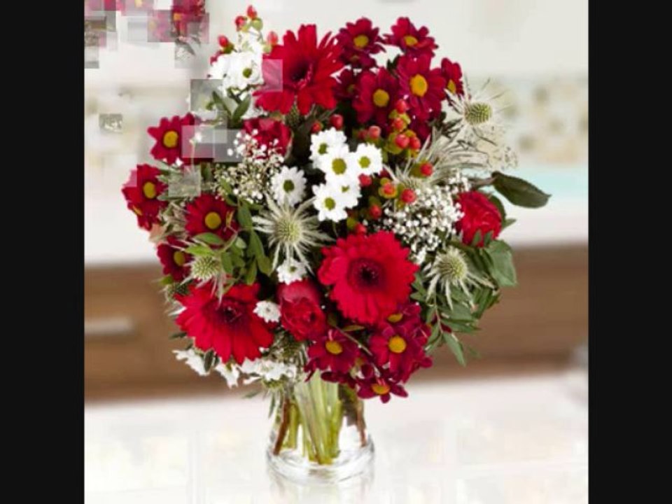 Floraqueen Red Flowers