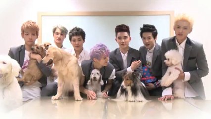 130806 Super Dog! Preview - Girl's Day & Various Artists