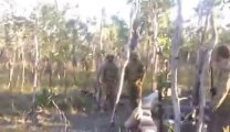 US Soldiers acting like dumb lumberjacks... Epic Fail by the last one!!