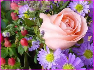 L'important  c'est  la  ROSE