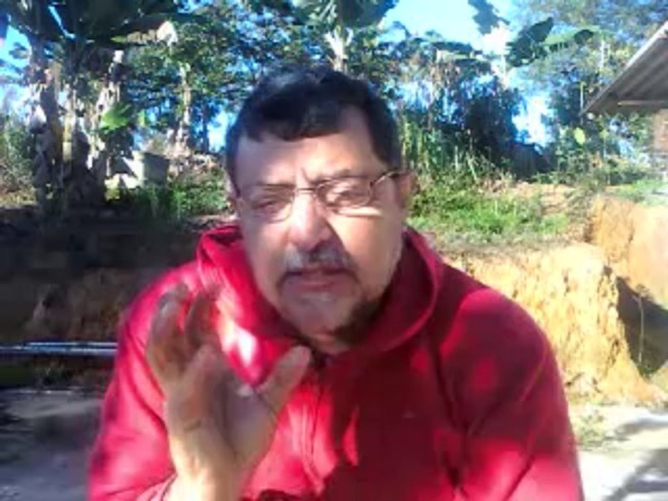 MOUTON AU MILLIEU DE LOUPS - VALDEMIR MOTA DE MENEZES