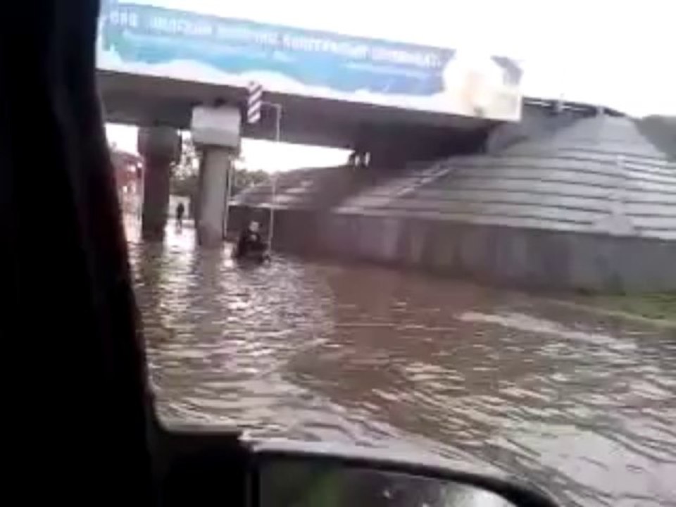 Un chien pousse un homme en fauteuil roulant dans une rue inondée