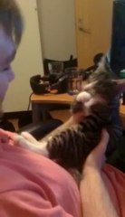 Le chaton qui détestait les bisous