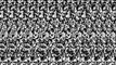 Toroid cross-eyed stereogram animation