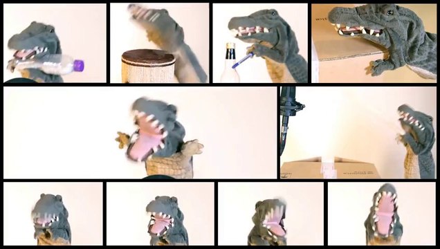 La chanson du crocodile